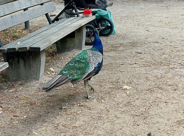 Spielplatz Schöntal Aschaffenburg – Ausflug mit Kindern, Foto 5