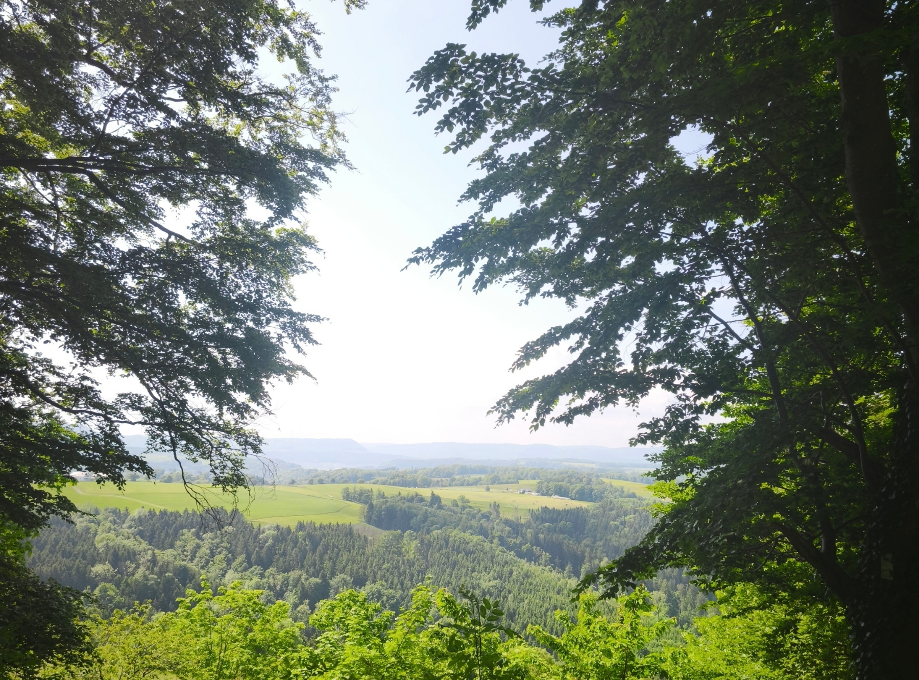 Burgruine Hohenrechberg Schwäbisch Gmünd – Ausflug mit Kindern, Foto 2