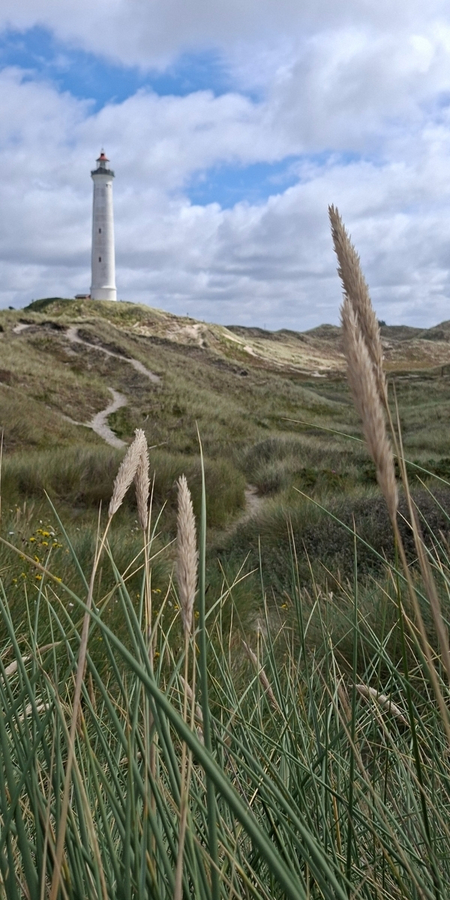 Ein Tag am Leuchtturm Lyngvig Fyr