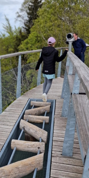 Baumwipfelpfad Neckartal mit Kugelglück in Mogelsberg