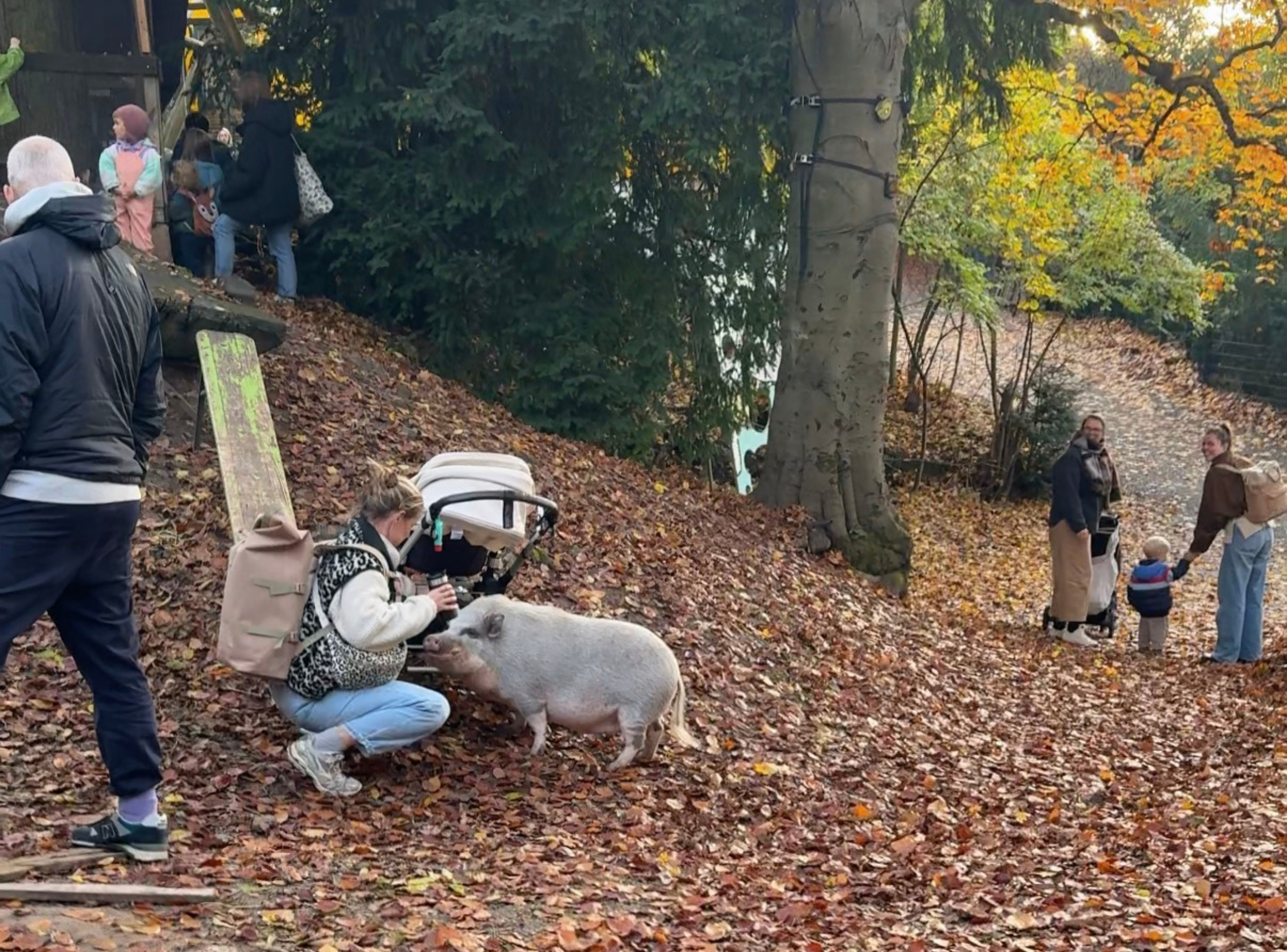 Etzelfarm in Stuttgart – Ausflug mit Kindern, Foto 6