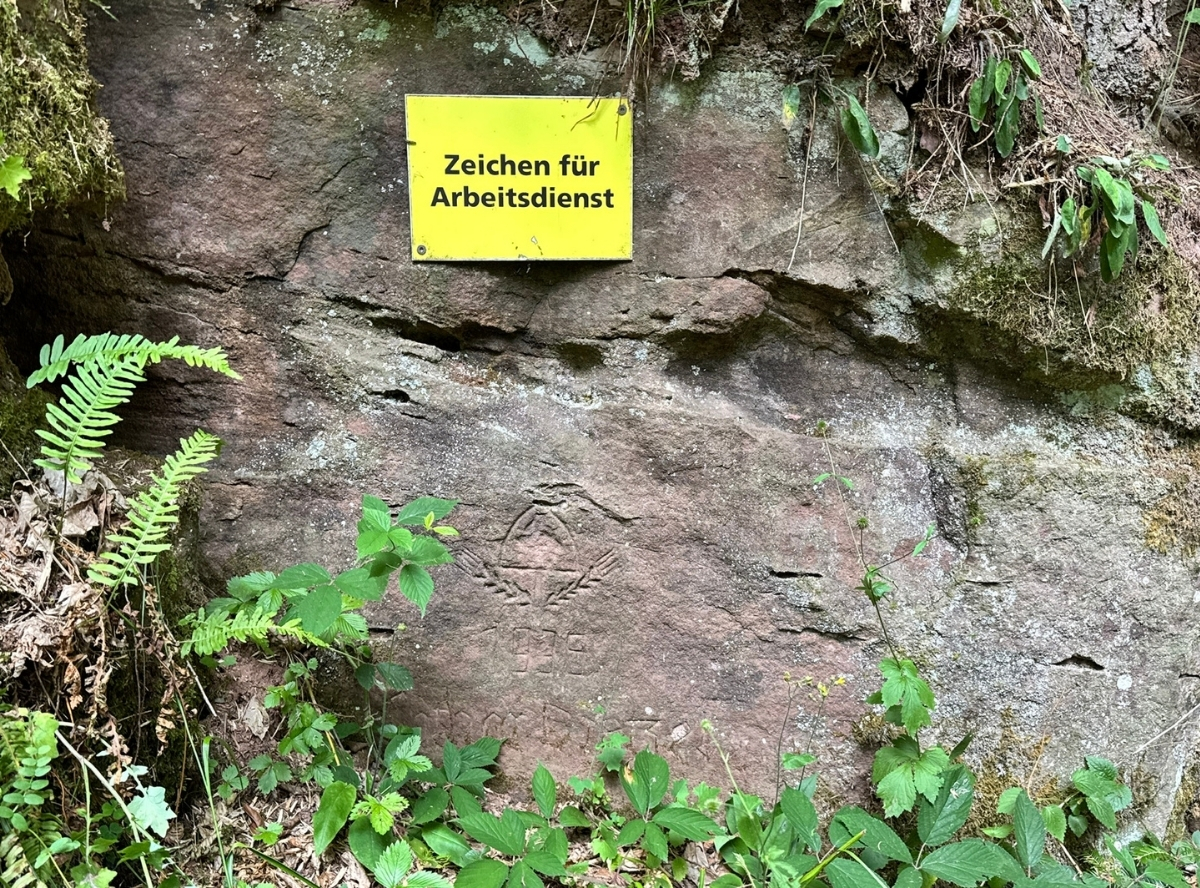 Fledermauspfad in Neubulach – Ausflug mit Kindern, Foto 4