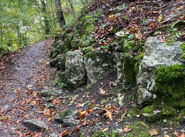 Schönbergturm in Pfullingen – Ausflug mit Kindern, Foto 6