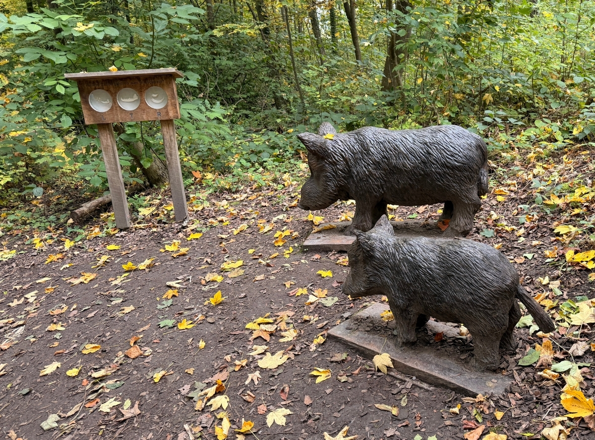 Erlebnisweg Tiere in Herrenberg – Ausflug mit Kindern, Foto 7
