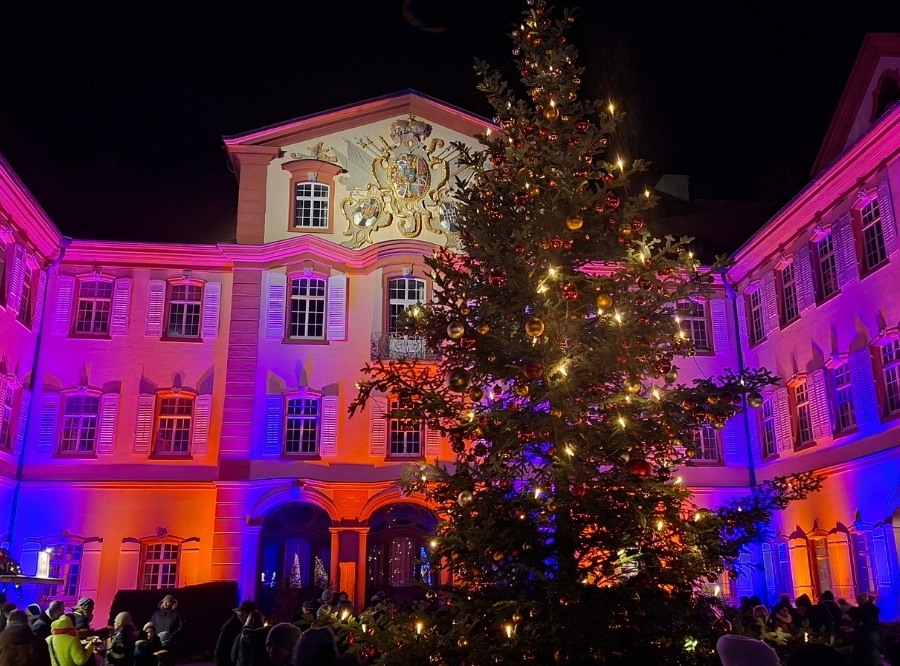Lichterzauber auf der Insel Mainau – Ausflug mit Kindern, Foto 9