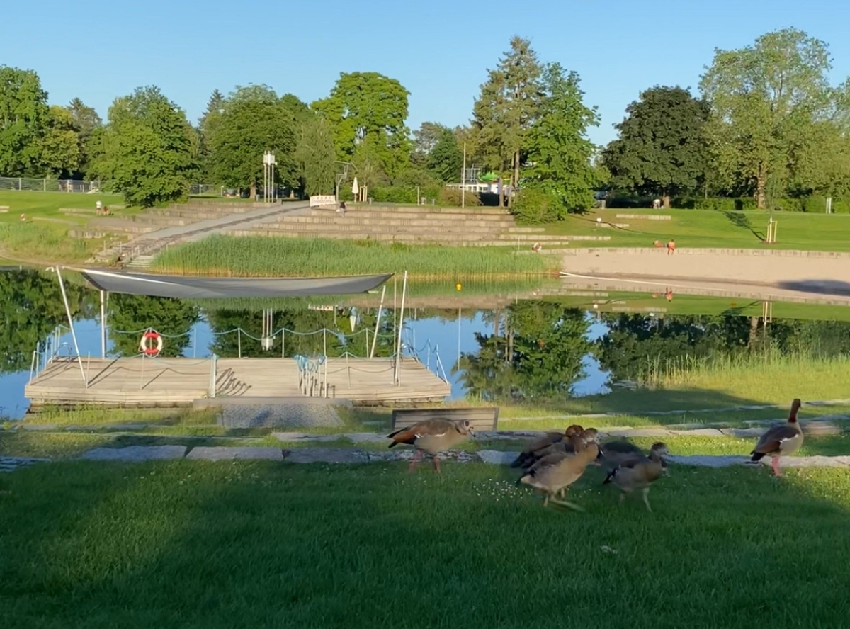 AQWA Freibad in Walldorf – Ausflug mit Kindern, Foto 4