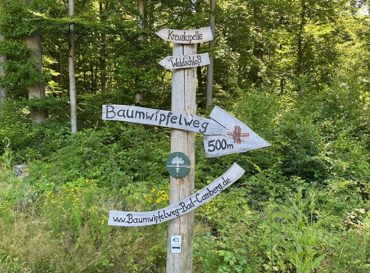 Baumwipfelweg Bad Camberg – Ausflug mit Kindern, Foto 3