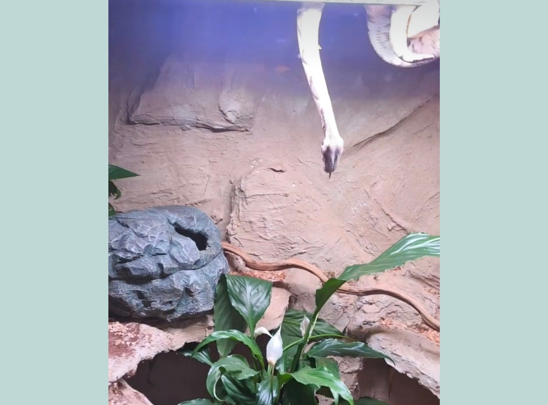 Tierpark Göppingen – Ausflug mit Kindern, Foto 5