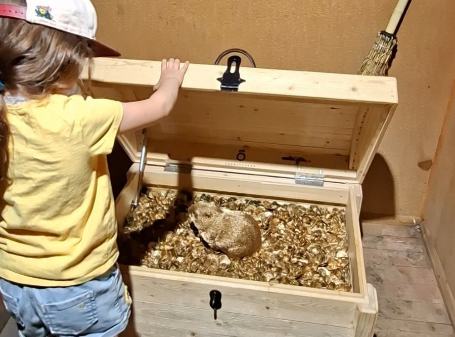 Dem Schmugglerschatz auf der Spur in Oberstaufen – Ausflug mit Kindern, Foto 3
