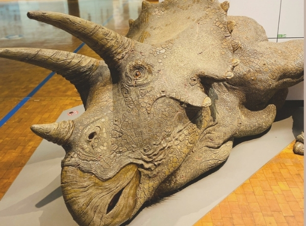 Naturkundemuseum in Stuttgart für Dinofans – Ausflug mit Kindern, Foto 9