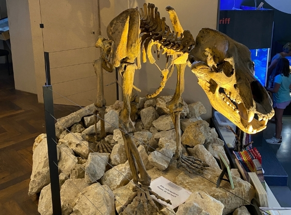 Charlottenhöhle mit Höhlen Erlebnis Welt – Ausflug mit Kindern, Foto 6