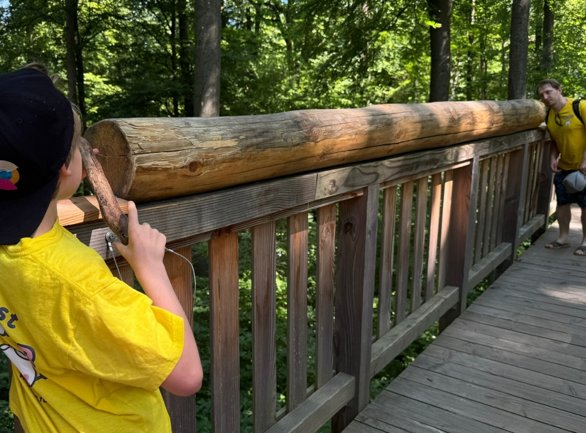 Baumwipfelweg Bad Camberg – Ausflug mit Kindern, Foto 6
