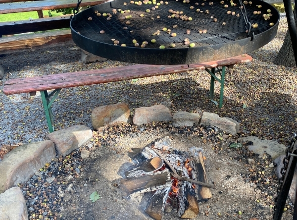 Wildparadies Tripsdrill in Cleebronn – Ausflug mit Kindern, Foto 6