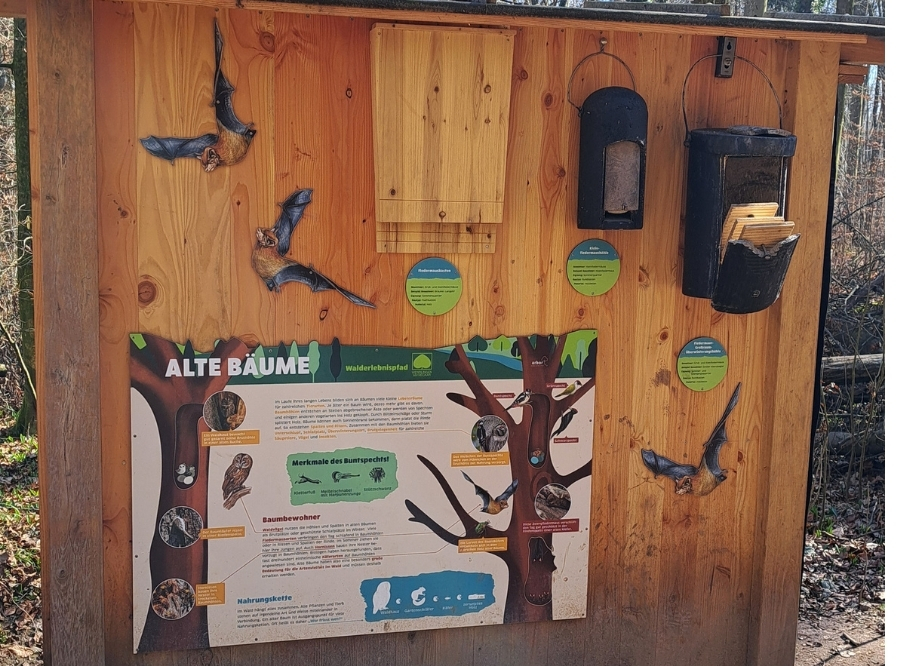 Auf die Kugeln, fertig, los! – Ausflug mit Kindern, Foto 9