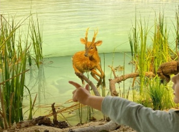 Naturkundemuseum in Stuttgart für Dinofans – Ausflug mit Kindern, Foto 6