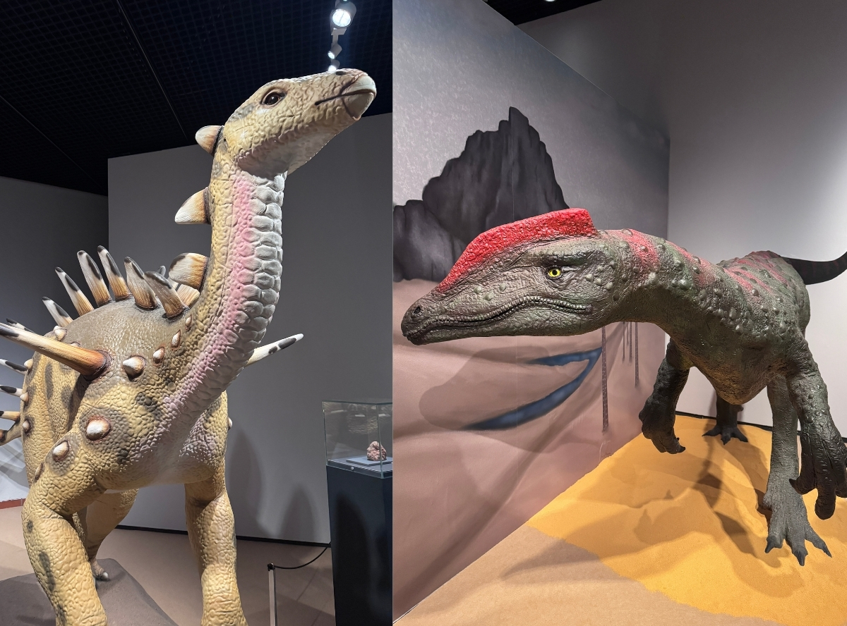 Saurier–Ausstellung im REM Museum – Ausflug mit Kindern, Foto 4