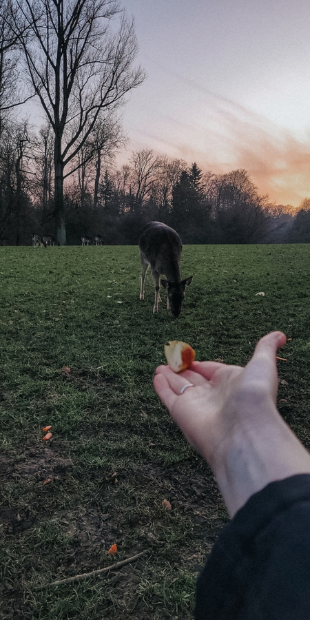 Wildpark Grafenberg in Düsseldorf