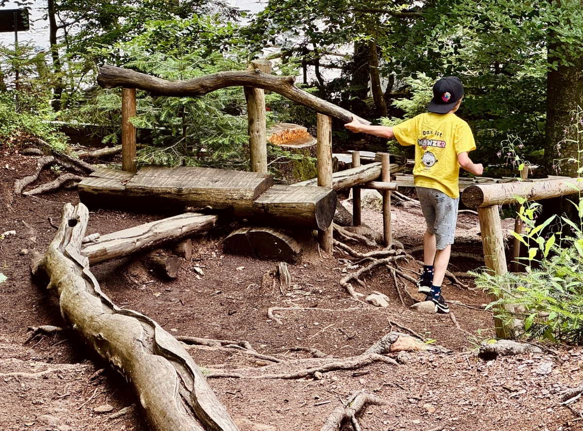 Waldkugelbahn Großer Arbersee – Ausflug mit Kindern, Foto 4
