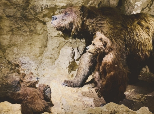 Naturkundemuseum in Stuttgart für Dinofans – Ausflug mit Kindern, Foto 7