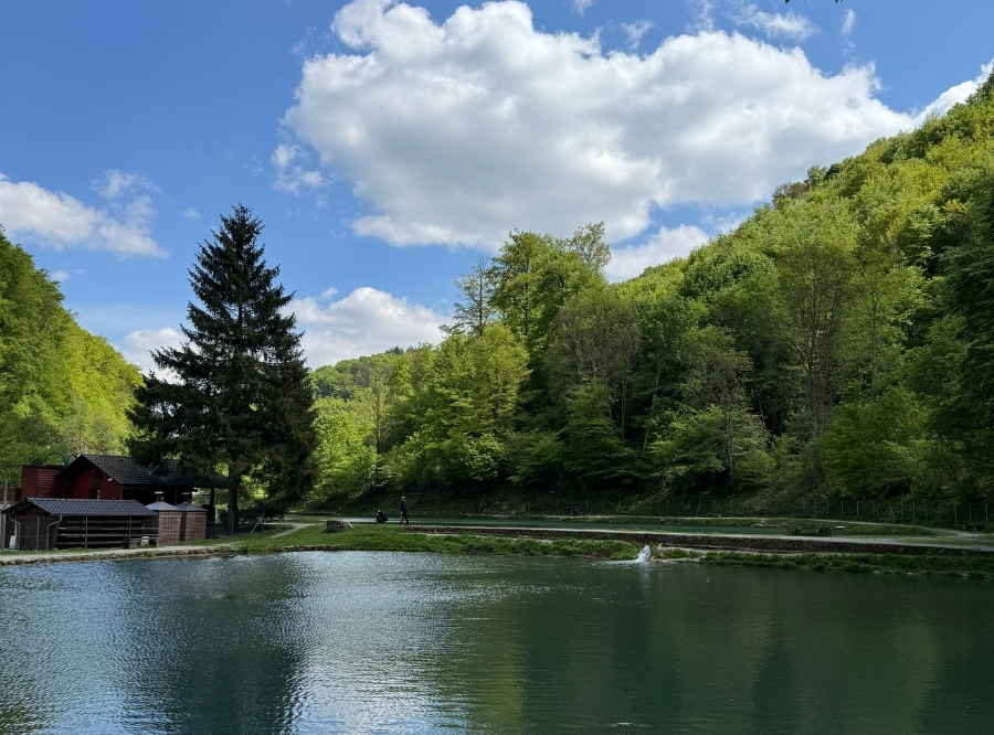 Ermstalfischerei in Bad Urach – Ausflug mit Kindern, Foto 2