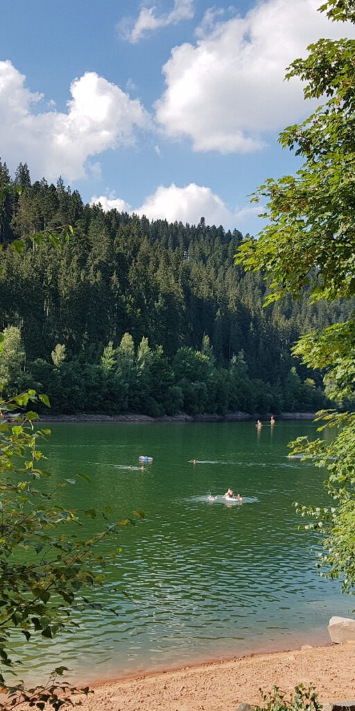 Nagoldtalsperre in Seewald