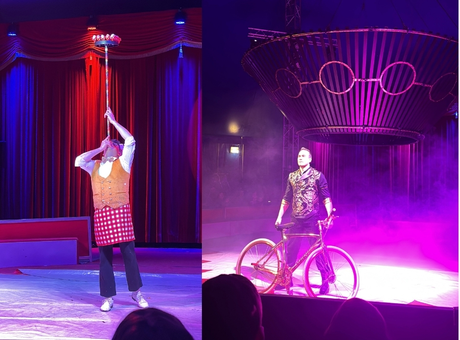 Ostercircus Hofmeister Sindelfingen – Ausflug mit Kindern, Foto 3