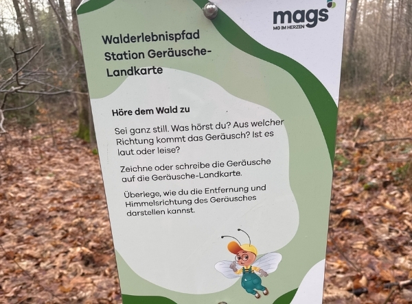 Entdecken und Lernen mitten im Wald – Ausflug mit Kindern, Foto 3