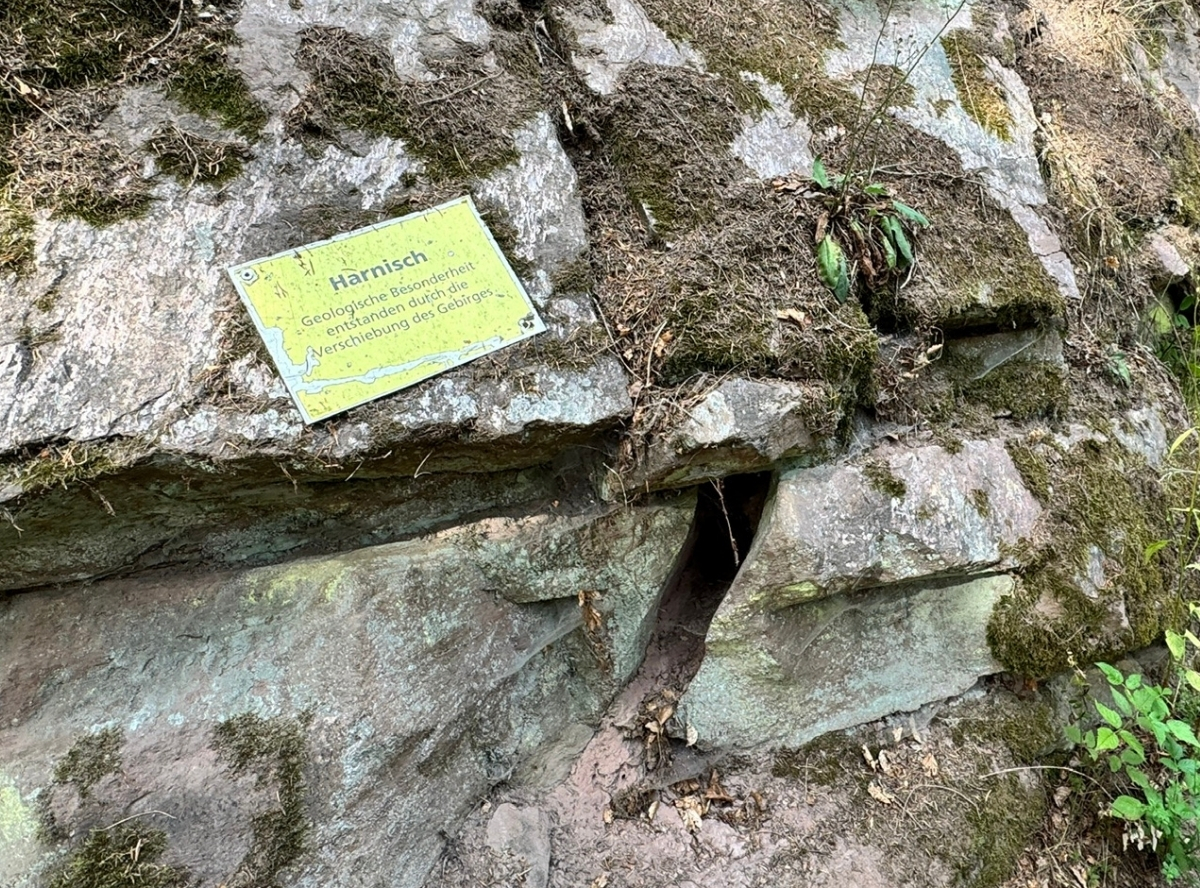 Fledermauspfad in Neubulach – Ausflug mit Kindern, Foto 5