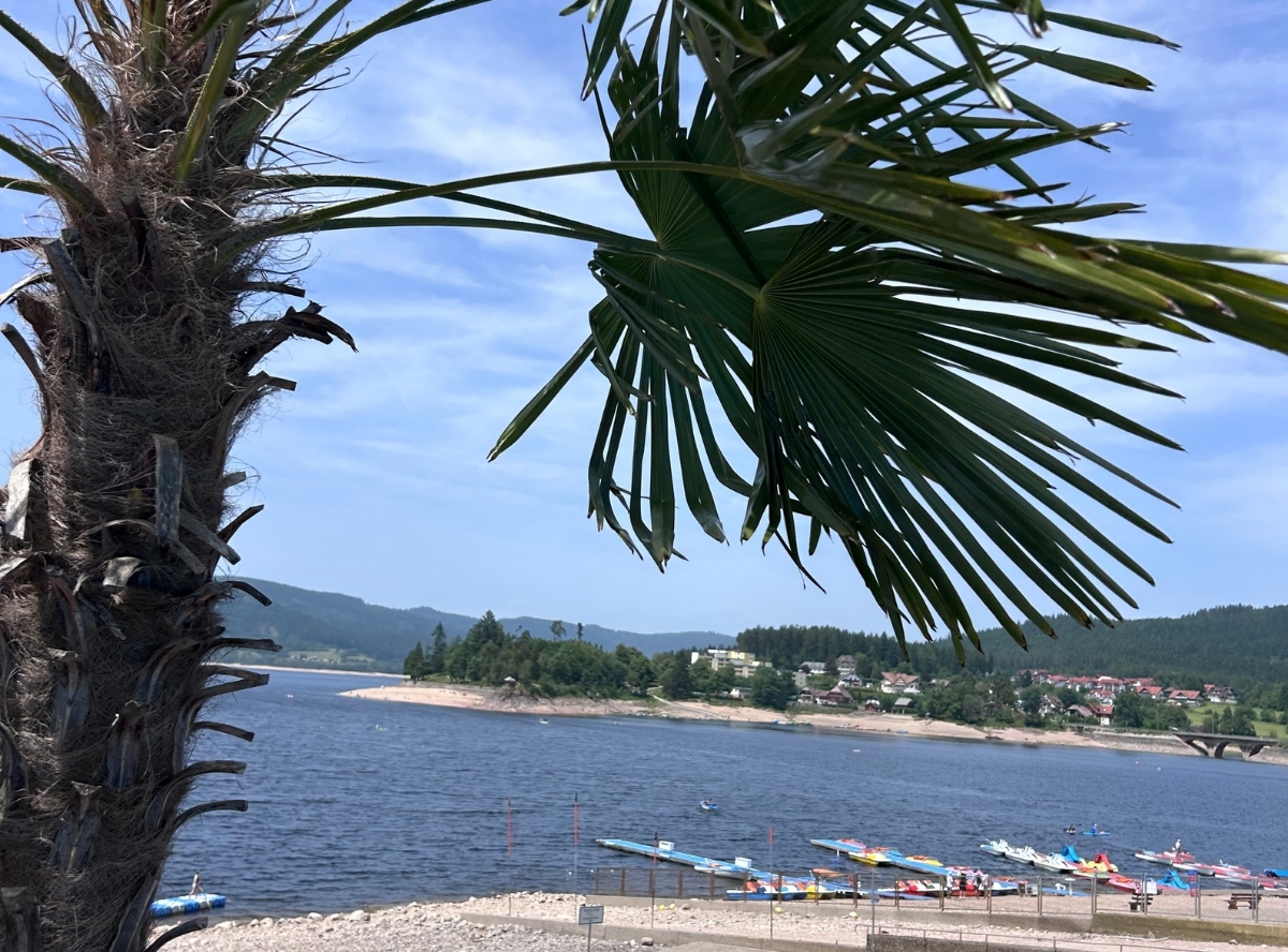 Aqua Fun Schluchsee – Ausflug mit Kindern, Foto 6