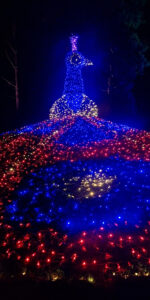 Lichterzauber auf der Insel Mainau