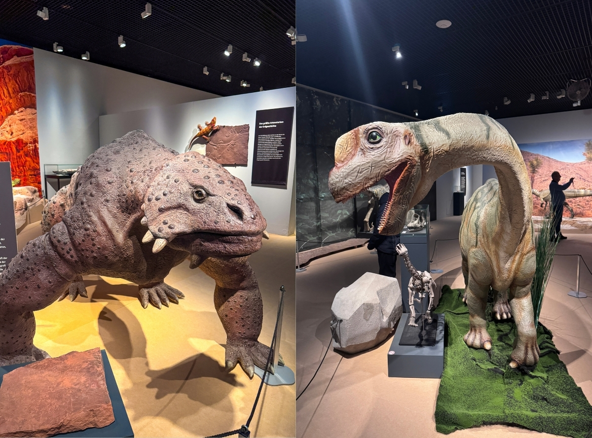 Saurier–Ausstellung im REM Museum – Ausflug mit Kindern, Foto 3