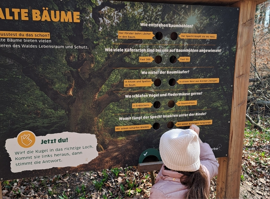 Auf die Kugeln, fertig, los! – Ausflug mit Kindern, Foto 8