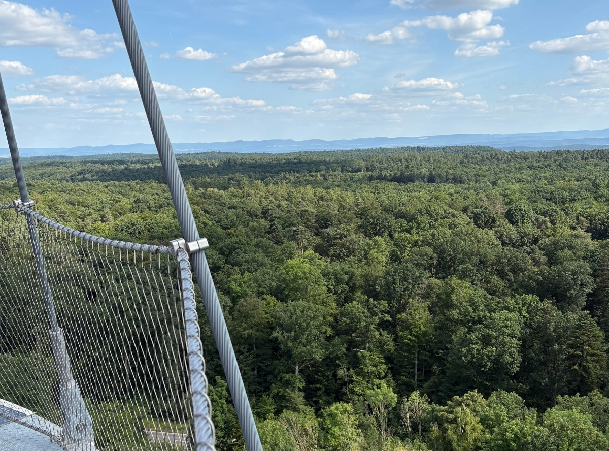 Schönbuchturm in Herrenberg – Ausflug mit Kindern, Foto 2