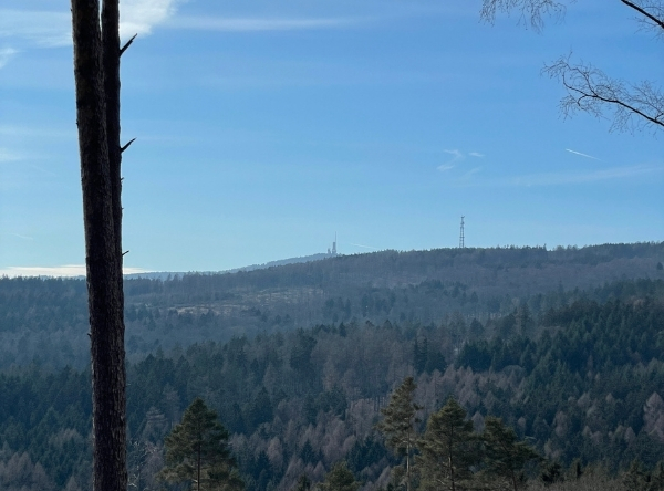 Herzbergturm im Taunus – Ausflug mit Kindern, Foto 2
