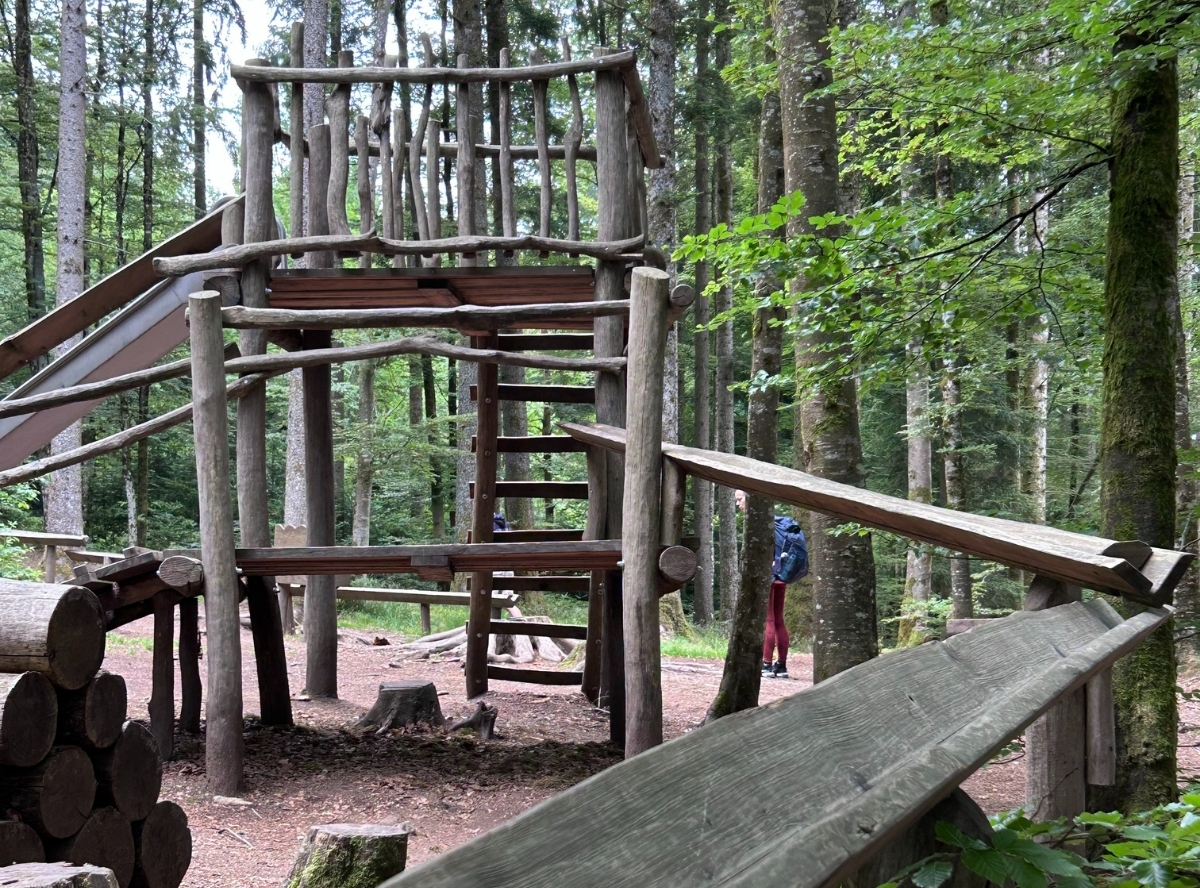 Kugelwaldpfad im Hochschwarzwald – Ausflug mit Kindern, Foto 4