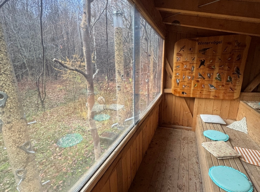 Vogelbeobachtungshaus in Sindelfingen – Ausflug mit Kindern, Foto 3