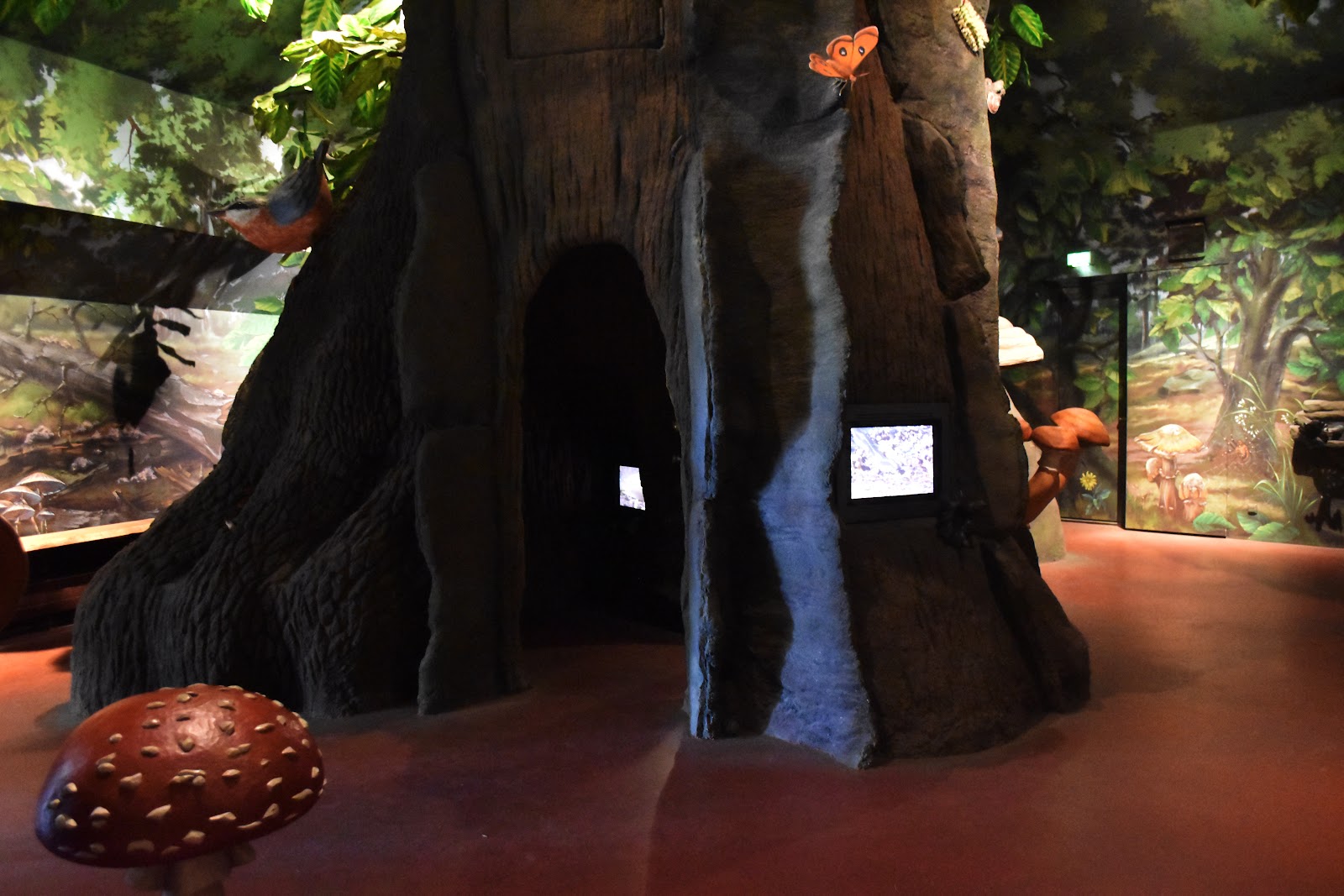 BuchenHaus Kellerwald-Edersee – Ausflug mit Kindern, Foto 3