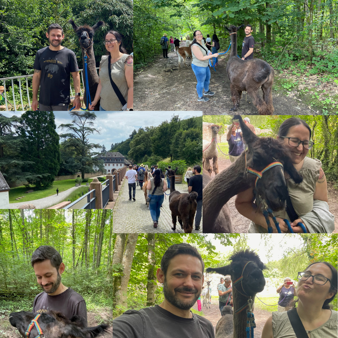Alpaka- und Lamawanderung im Rheingau – Ausflug mit Kindern, Foto 4