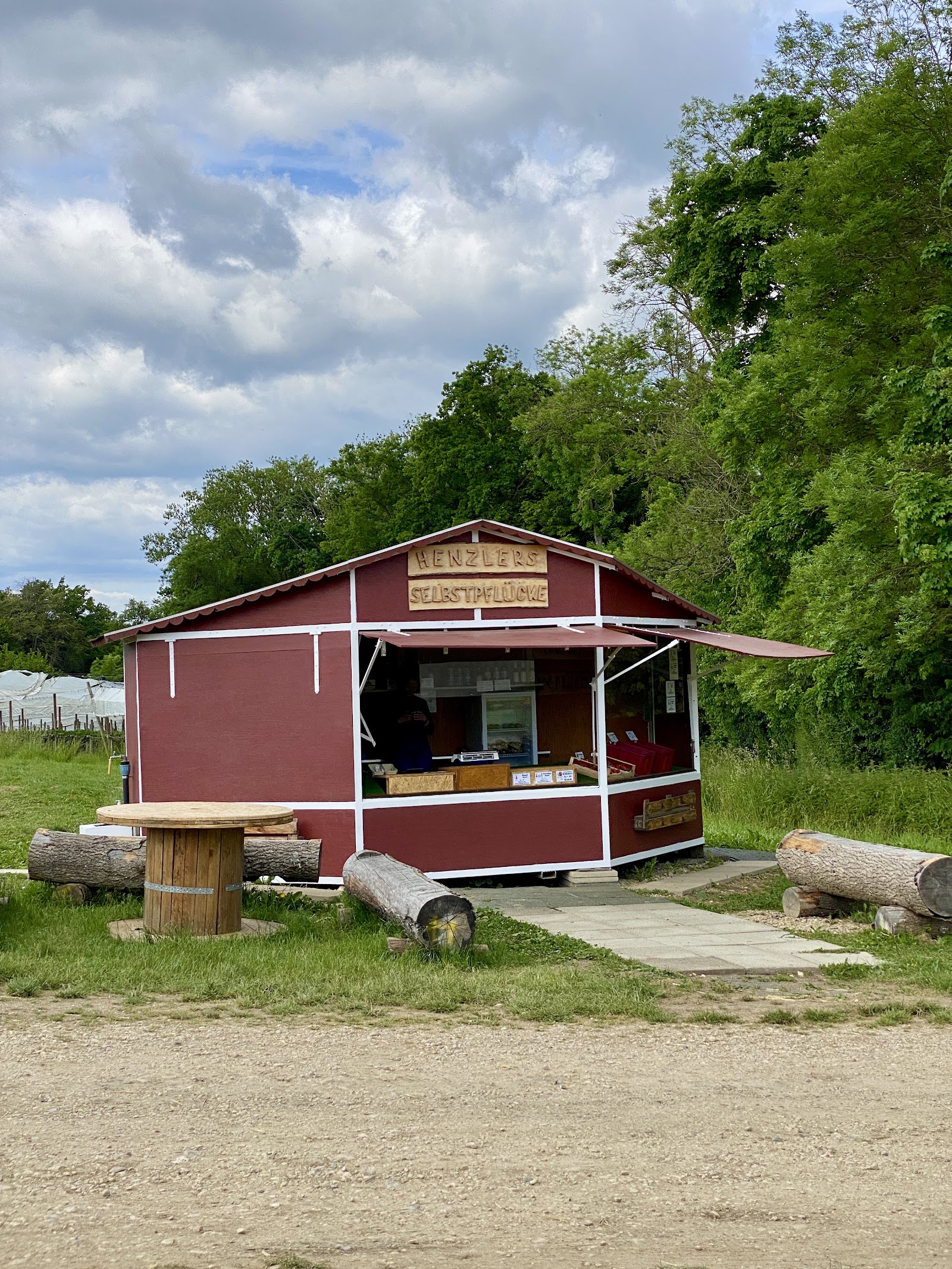 Erdbeeren selber Pflücken Rammerthof – Ausflug mit Kindern, Foto 3