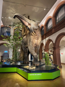 Naturhistorisches Museum Mainz