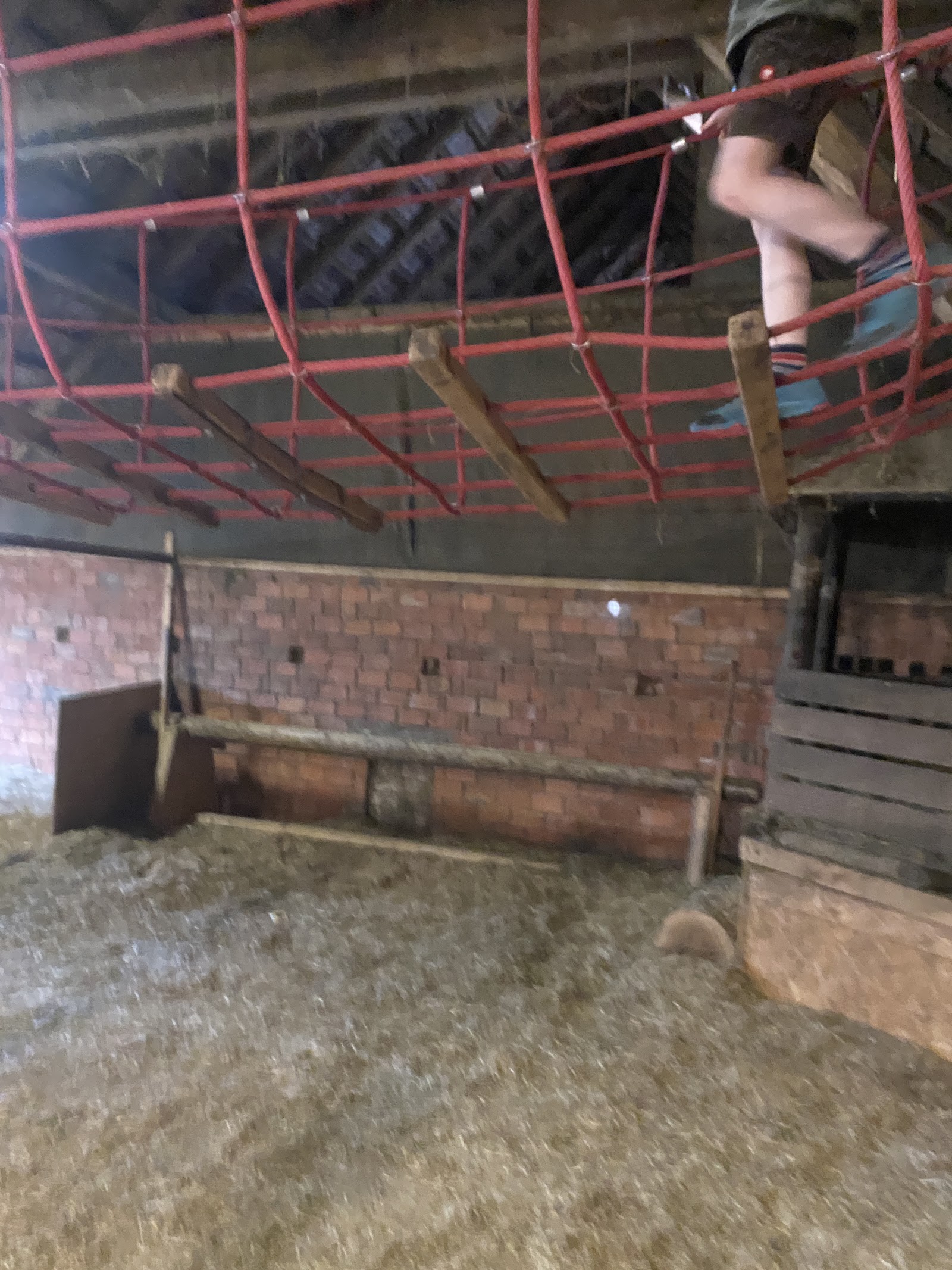 Landlümmel Waldhof Schulze Beikel – Ausflug mit Kindern, Foto 4