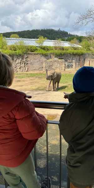 Opel-Zoo in Kronberg – Ausflug mit Kindern, Foto 2