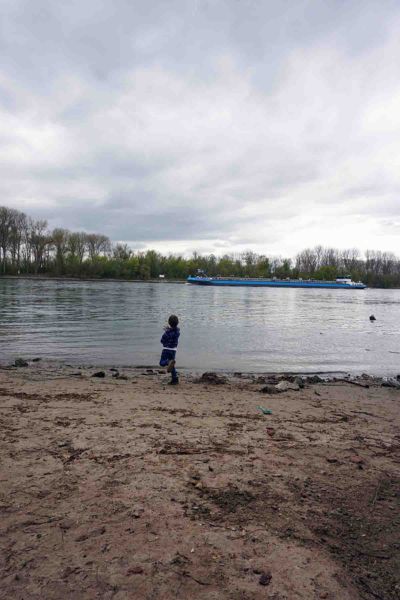 Rheininsel Langenau mit Kindern