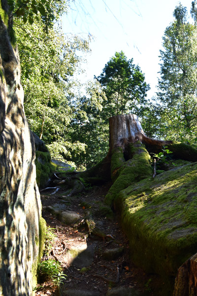 Riesenstein / Habichtswald in Naumburg – Ausflug mit Kindern, Foto 3