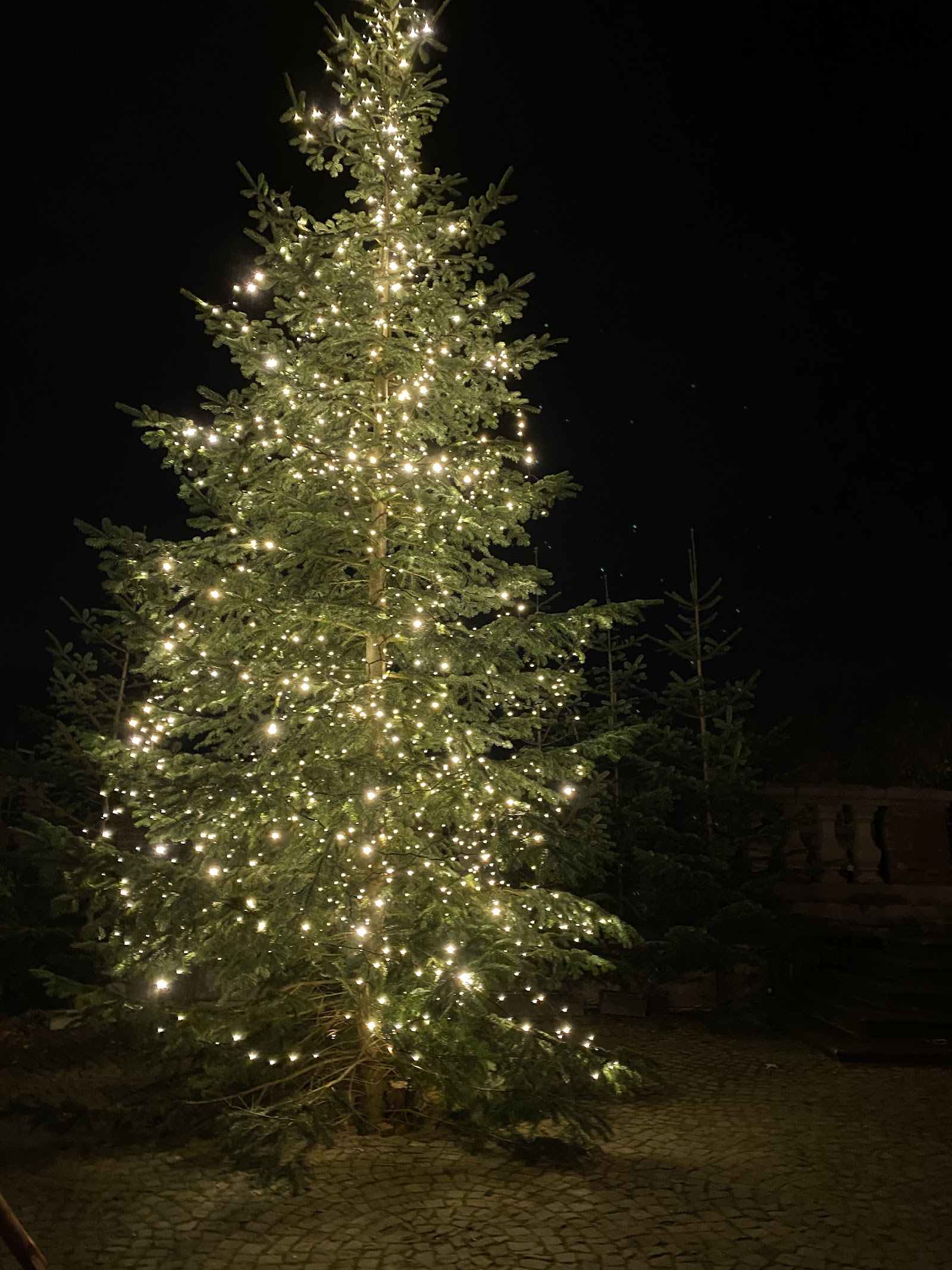 Weihnachtsmarkt Schloss Merode – Ausflug mit Kindern, Foto 2