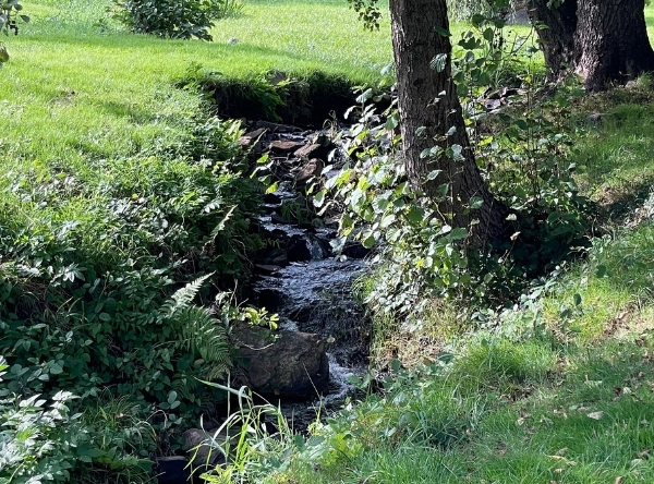 Mystischer Weg Schlangenbad – Ausflug mit Kindern, Foto 4
