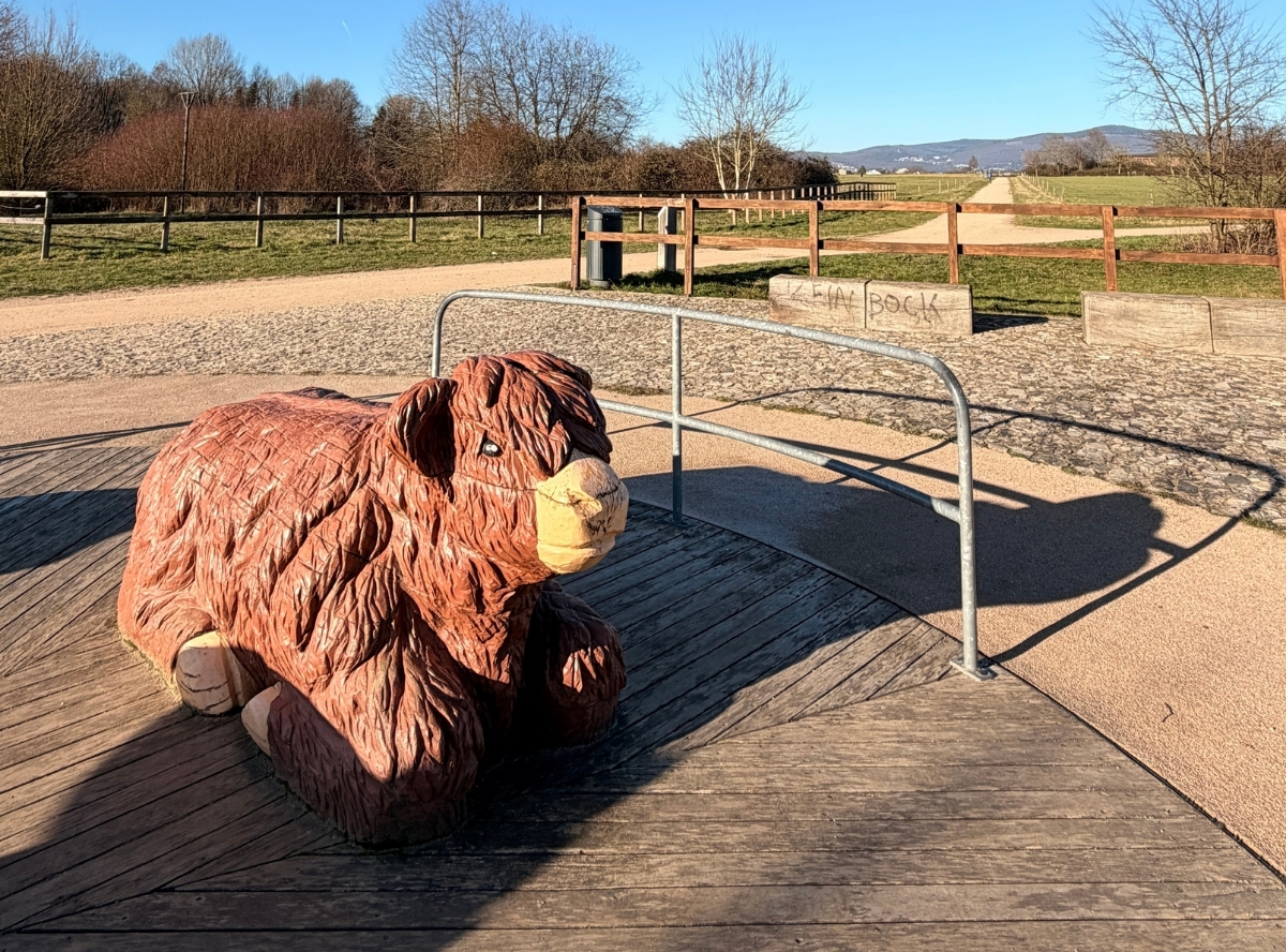 Arboretum Main-Taunus – Ausflug mit Kindern, Foto 3