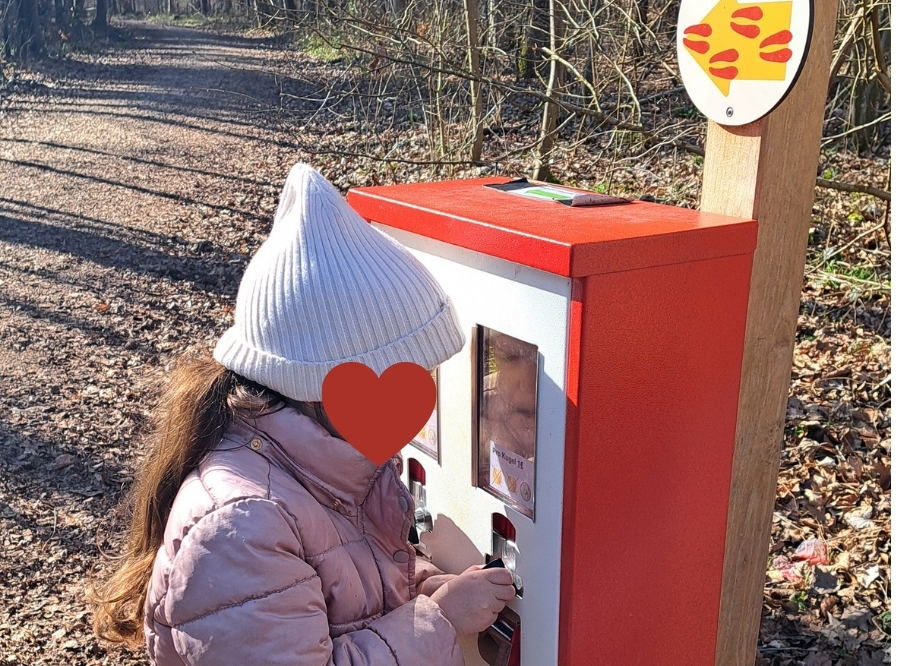 Auf die Kugeln, fertig, los! – Ausflug mit Kindern, Foto 4