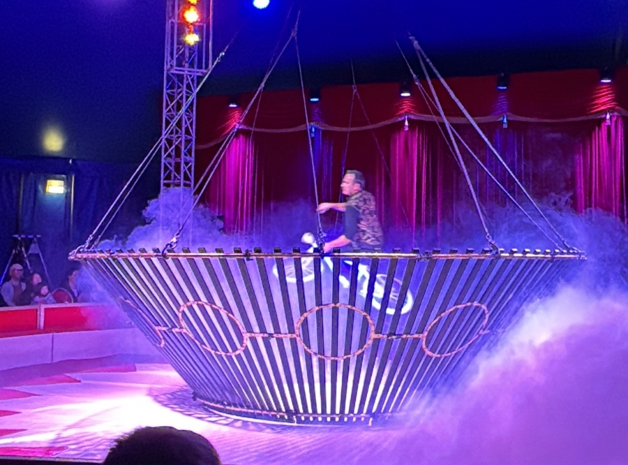 Ostercircus Hofmeister Sindelfingen – Ausflug mit Kindern, Foto 7