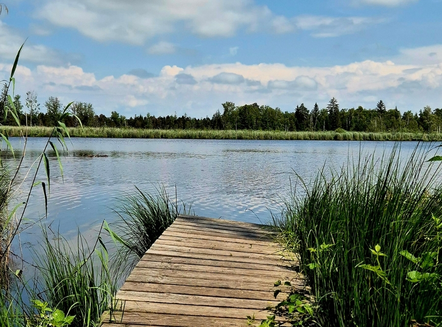 Moor Extrem! in Bad Wurzach – Ausflug mit Kindern, Foto 2